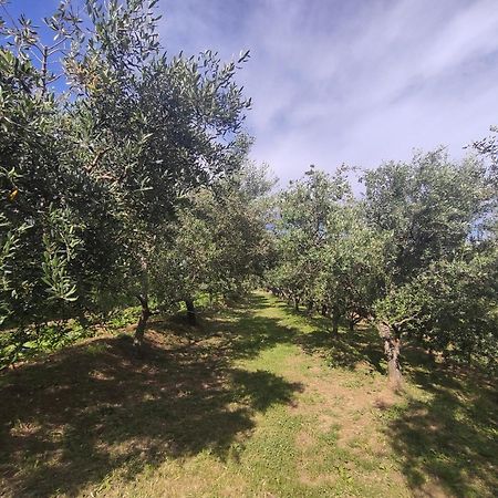 Apartman Villa Romana Grožnjan Esterno foto