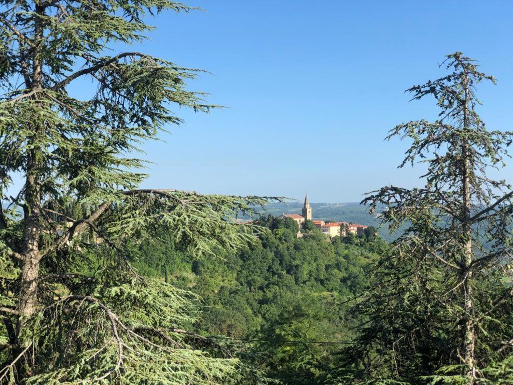 Apartman Villa Romana Grožnjan Esterno foto