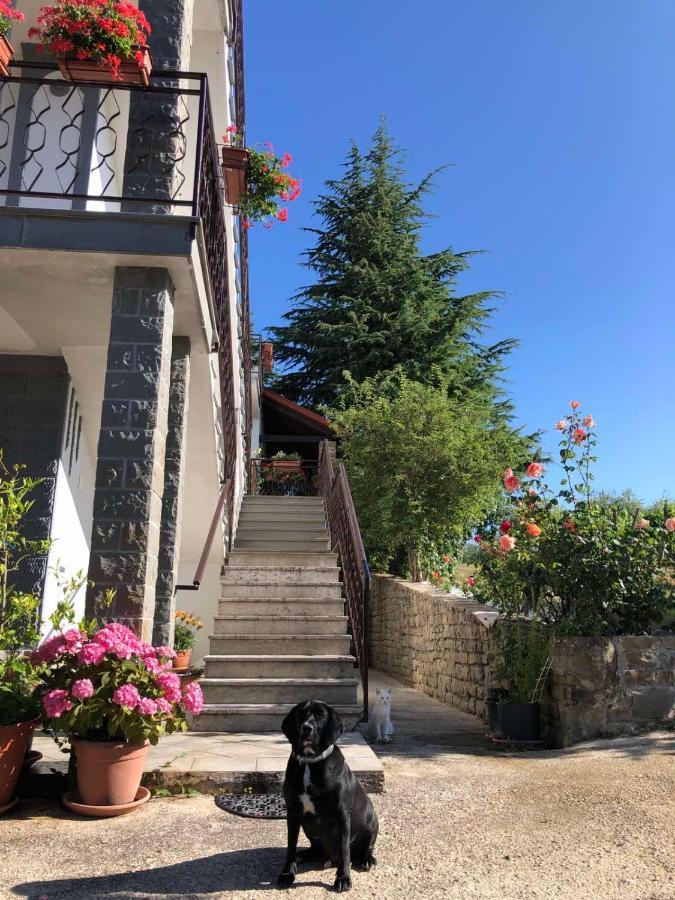 Apartman Villa Romana Grožnjan Esterno foto