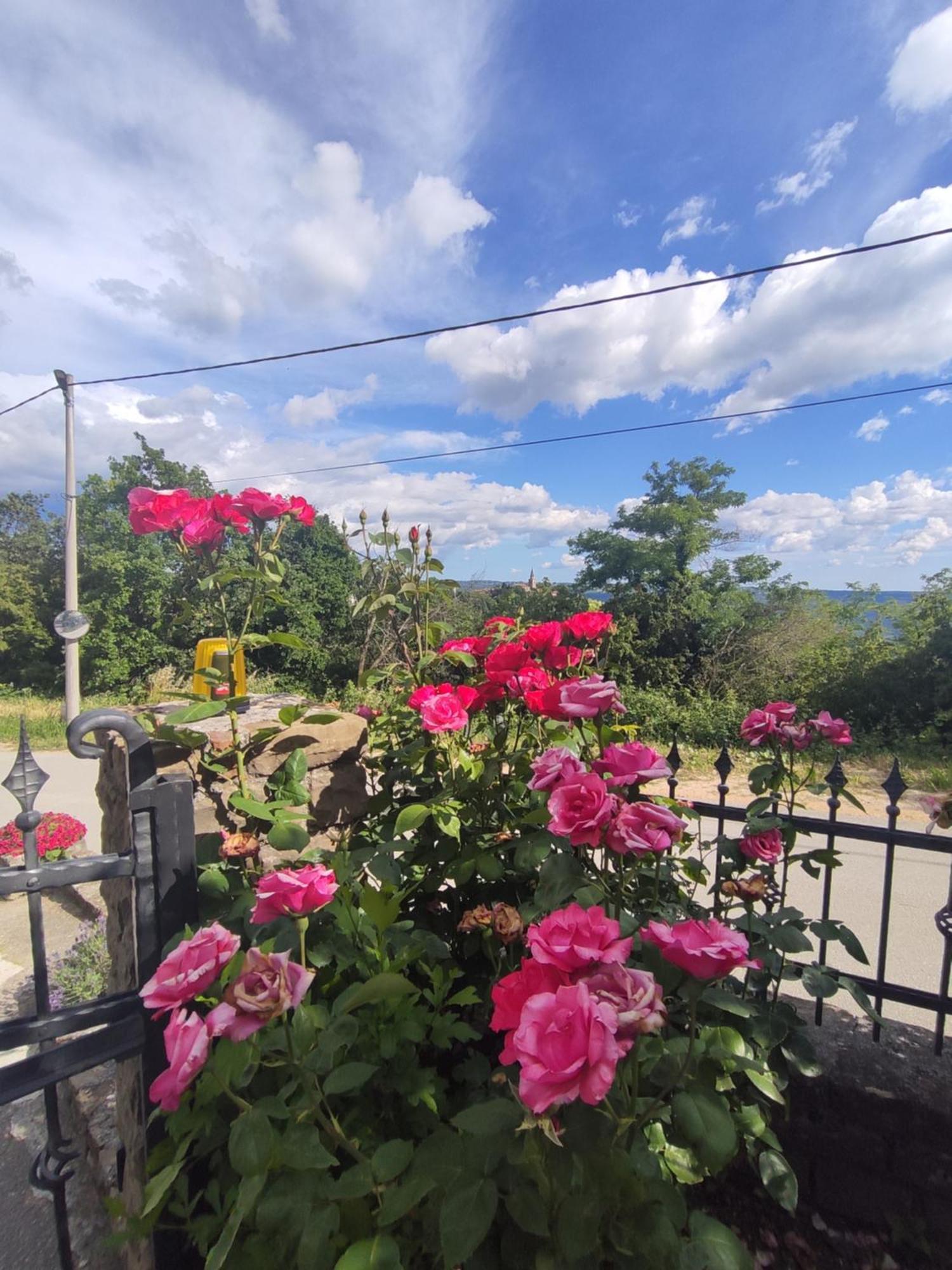 Apartman Villa Romana Grožnjan Esterno foto