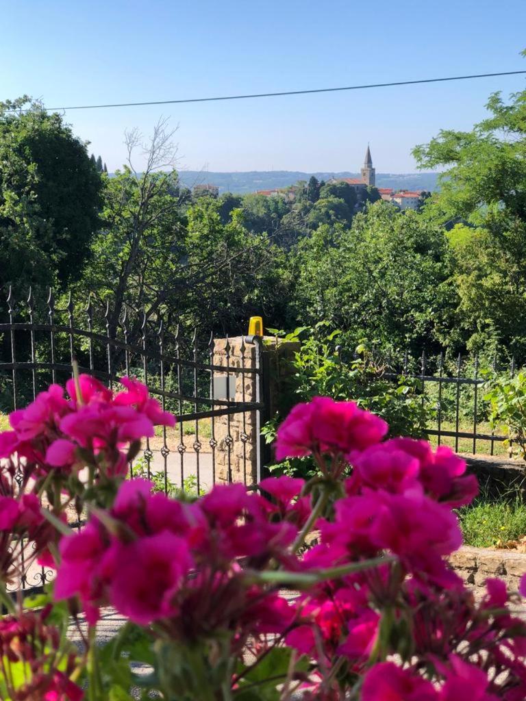 Apartman Villa Romana Grožnjan Esterno foto