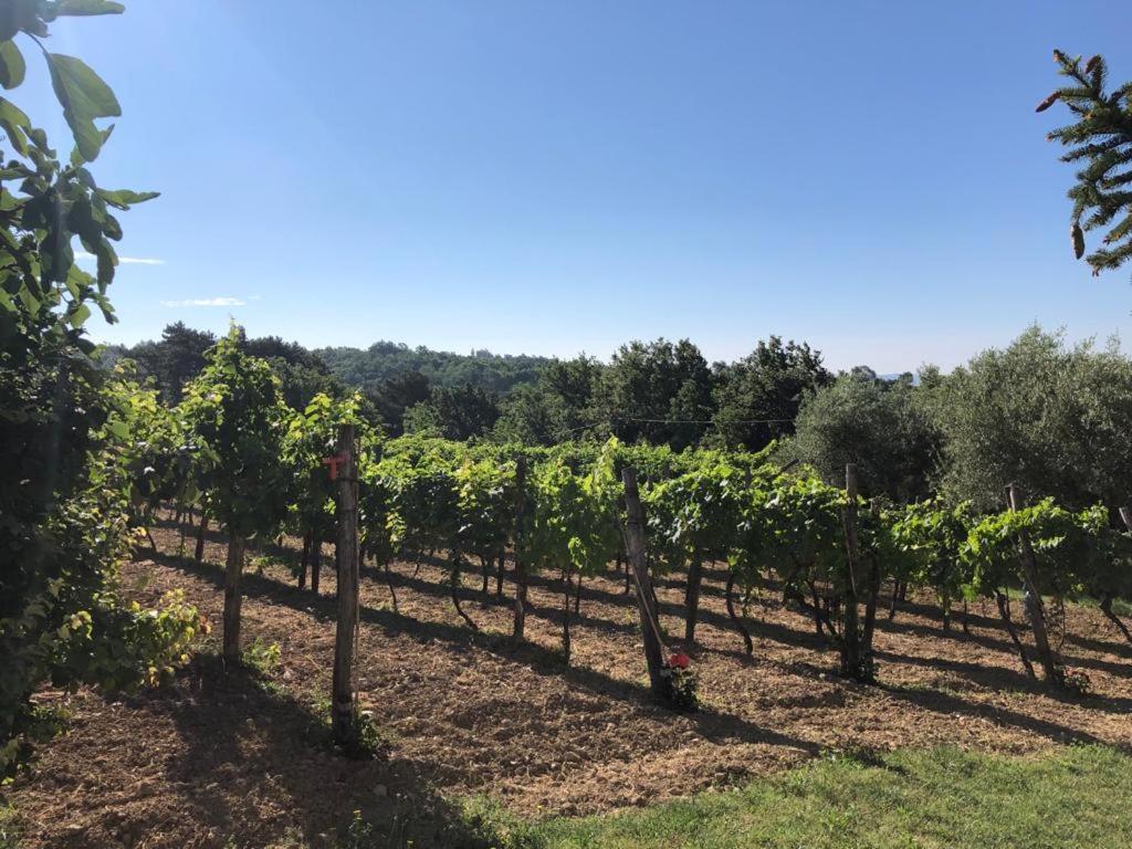 Apartman Villa Romana Grožnjan Esterno foto
